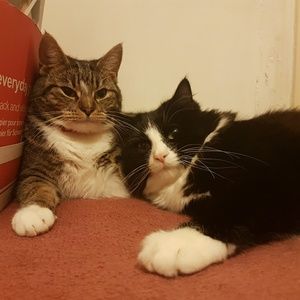 Meet your Posher, Michael